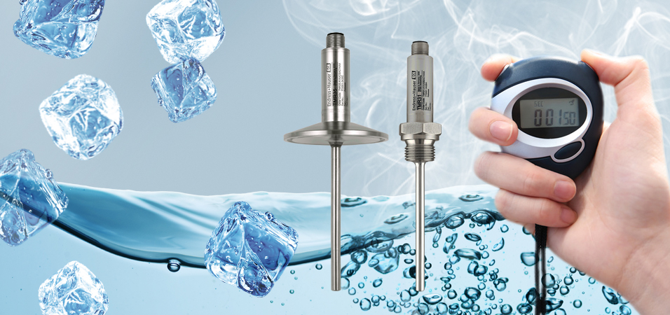Sensors Switches Instruments E Direct By Endress Hauser